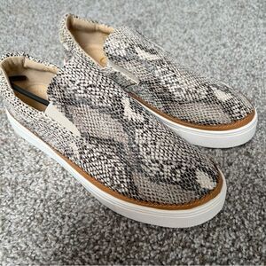 New with box | Ccocci Dream shoe